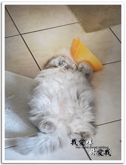 100306 很難平衡 02.jpg