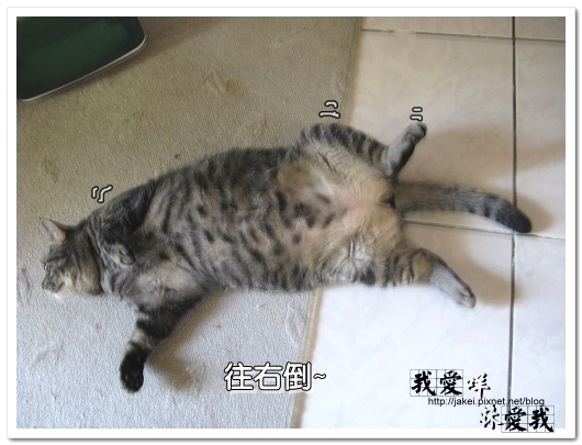 100306 很難平衡 03.jpg