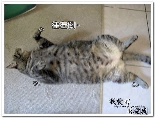 100306 很難平衡 04.jpg