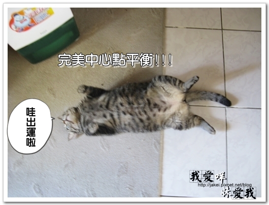 100306 很難平衡 05.jpg