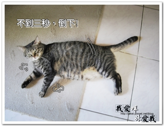 100306 很難平衡 06.jpg