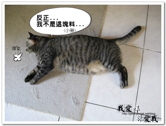 100306 很難平衡 07.jpg