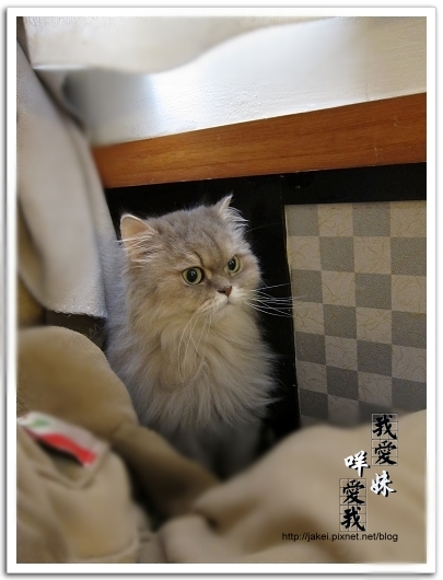 100313 洞裡咩 03.jpg