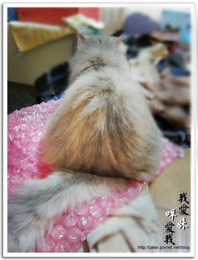 100315 BANK 愛上懶骨頭 12.jpg