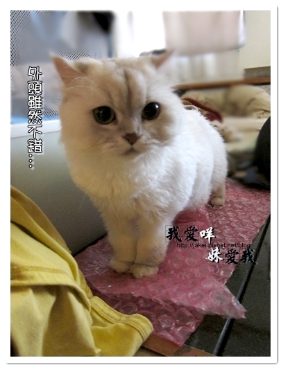 100320 球球來作客 14.jpg