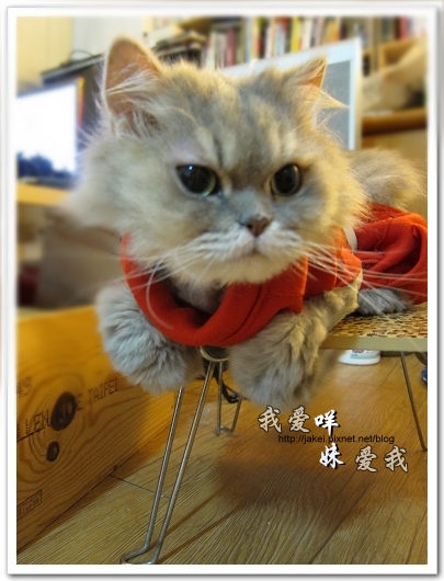 100514 不要舔肚子13.jpg 100514 不要舔肚子13.jpg