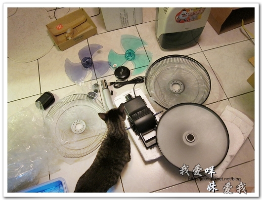 100708 團購- 雙頭電扇 09.jpg 100708 團購- 雙頭電扇 09.jpg