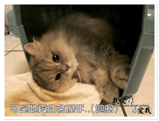 100320 咩的內心戲 07.jpg