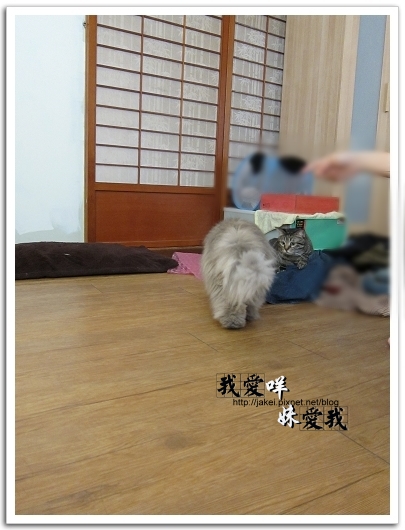 運動吧~班克 09.jpg