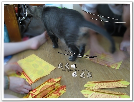 100620 紙蓮花 10.jpg 100620 紙蓮花 10.jpg