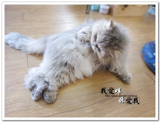 100320 一屁股5.jpg