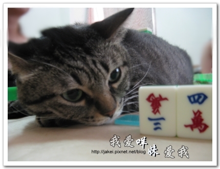 2010-07-04 麻將班 01.jpg 2010-07-04 麻將班 01.jpg