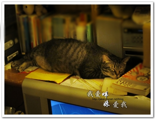 100708 團購- 雙頭電扇 18.jpg 100708 團購- 雙頭電扇 18.jpg