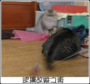 運動吧~班克 特寫1.jpg