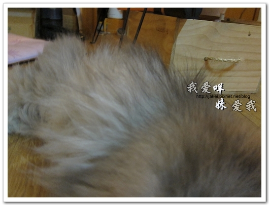 100504 內褲咩 07.jpg 100504 內褲咩 07.jpg