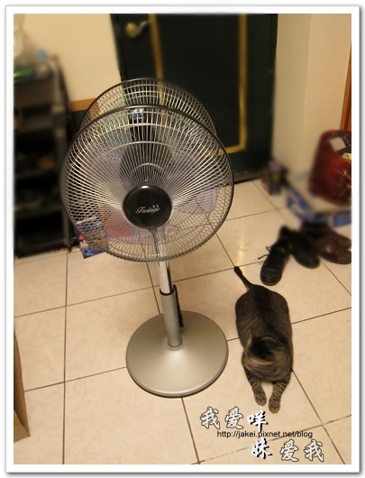 100708 團購- 雙頭電扇 13.jpg 100708 團購- 雙頭電扇 13.jpg
