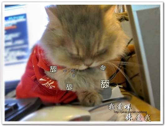100514 不要舔肚子18.jpg 100514 不要舔肚子18.jpg