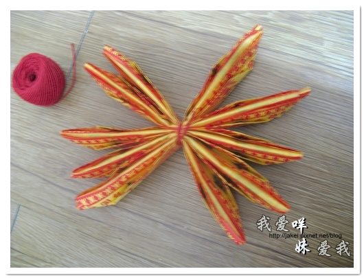 100620 紙蓮花 21.jpg 100620 紙蓮花 21.jpg