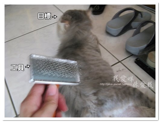 2010-05-29 貓毛氈 06.jpg 2010-05-29 貓毛氈 06.jpg
