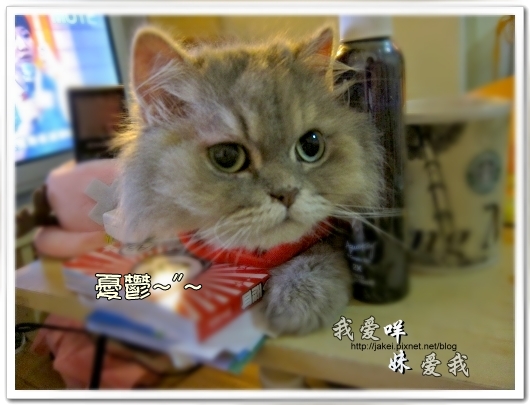 100514 不要舔肚子15.jpg 100514 不要舔肚子15.jpg