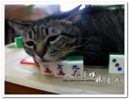 2010-07-04 麻將班 07.jpg 2010-07-04 麻將班 07.jpg