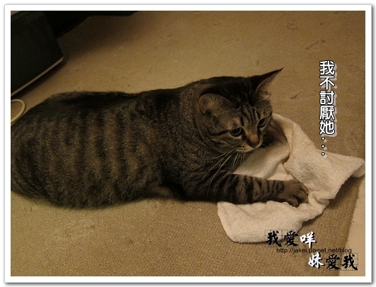 100320 球球來作客 09.jpg