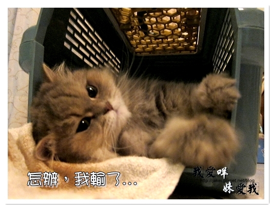 100320 咩的內心戲 05.jpg