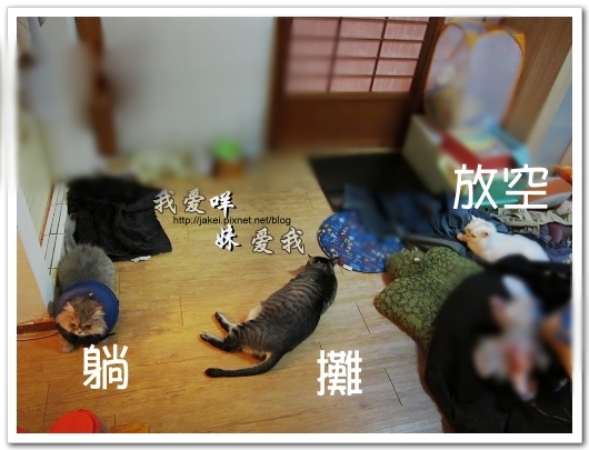 100708 團購- 雙頭電扇 16.jpg 100708 團購- 雙頭電扇 16.jpg