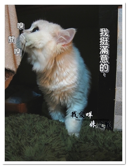 100320 球球來作客 08.jpg