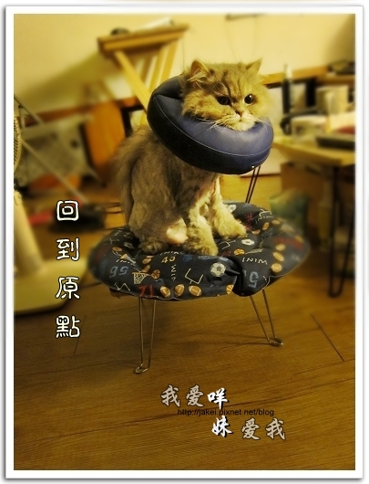 100514 不要舔肚子 26.jpg 100514 不要舔肚子 26.jpg