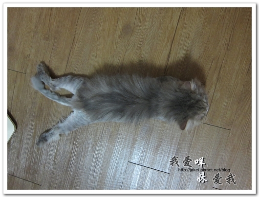100522 咩妹洗牙 14.jpg 100522 咩妹洗牙 14.jpg