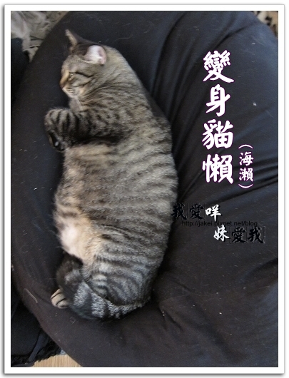 100326 班克愛懶骨頭 11.jpg