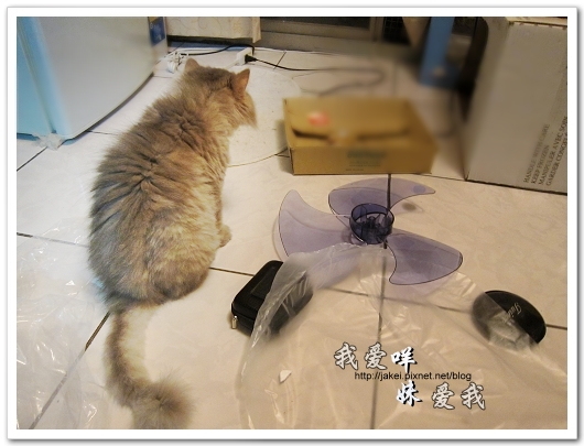 100708 團購- 雙頭電扇 11.jpg 100708 團購- 雙頭電扇 11.jpg