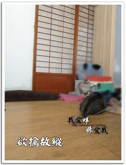 運動吧~班克 04.gif