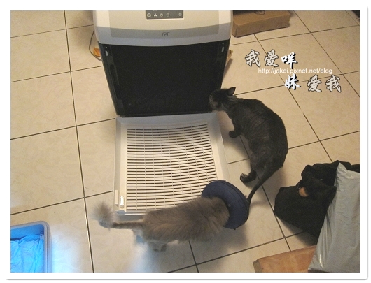 100728 大王清淨機 27.jpg 100728 大王清淨機 27.jpg