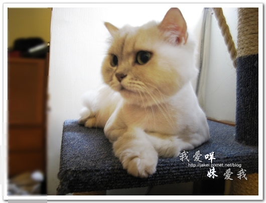 2010-05 球球13.jpg 2010-05 球球13.jpg