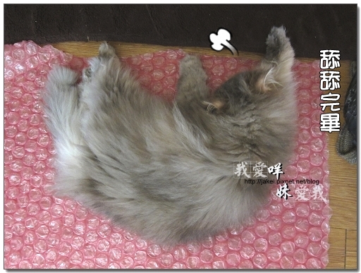 100403 翹腳咩抬腳 08.jpg