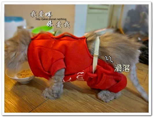100514 不要舔肚子09.jpg 100514 不要舔肚子09.jpg