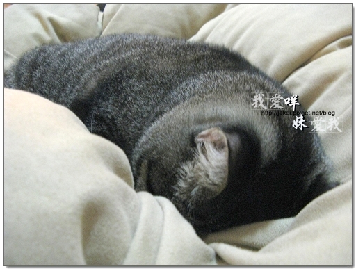 100417 一起睡 05.jpg