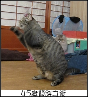 運動吧~班克 特寫3.jpg