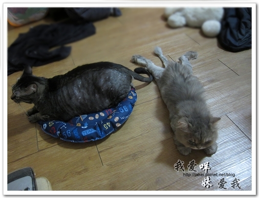 100522 咩妹洗牙 17.jpg 100522 咩妹洗牙 17.jpg