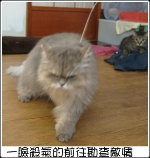 運動吧~咩妹 特寫1.jpg