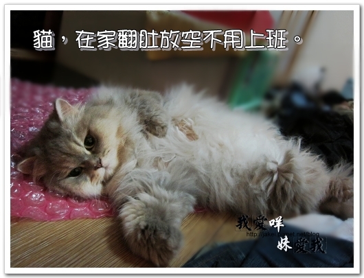 100320 慵懶 04.jpg