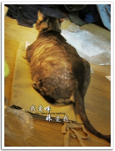 100521 LATIV 開箱 13.jpg 100521 LATIV 開箱 13.jpg