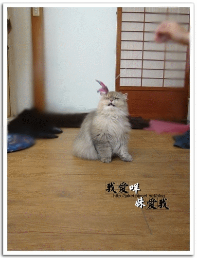 運動吧~班克 11.gif