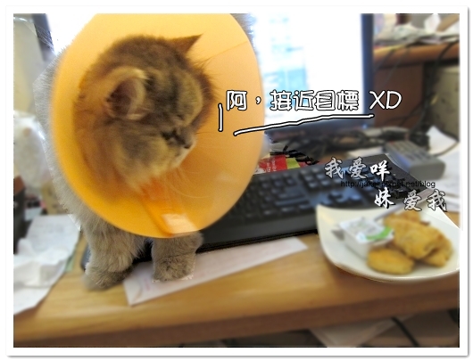 100426 紅龍雞塊 10.jpg