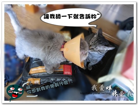 2010-07-11 飼料與電剪 04.jpg