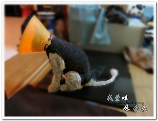 100514 不要舔肚子23.jpg 100514 不要舔肚子23.jpg