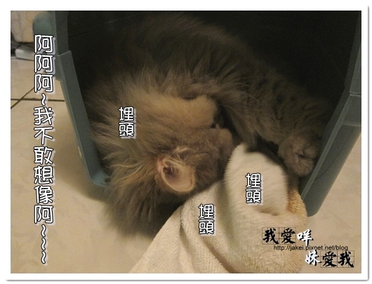 100320 咩的內心戲 10.jpg