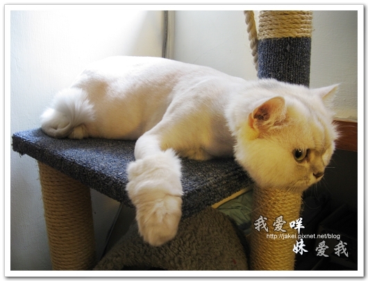 2010-05 球球12.jpg 2010-05 球球12.jpg